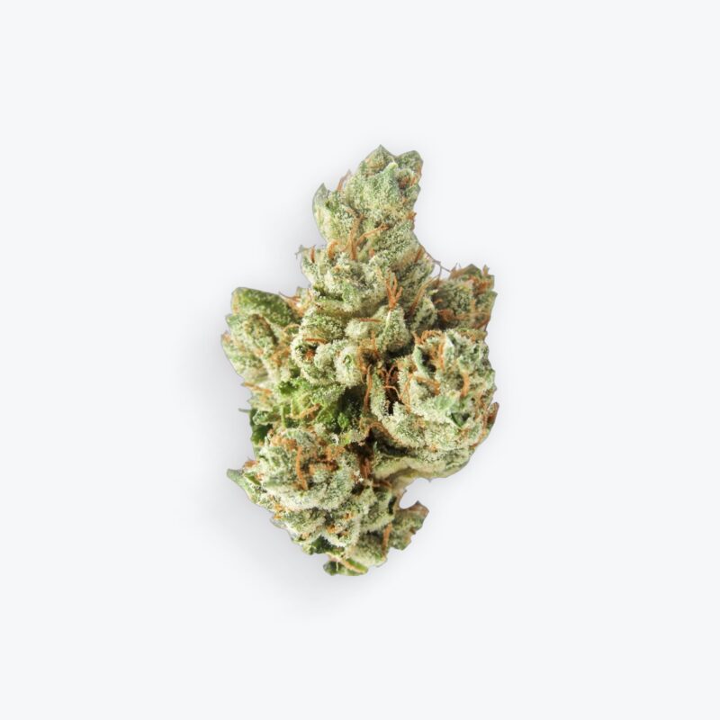 THC-A Exotic Flower - S.F.V. OG (Sativa) Guest Edition