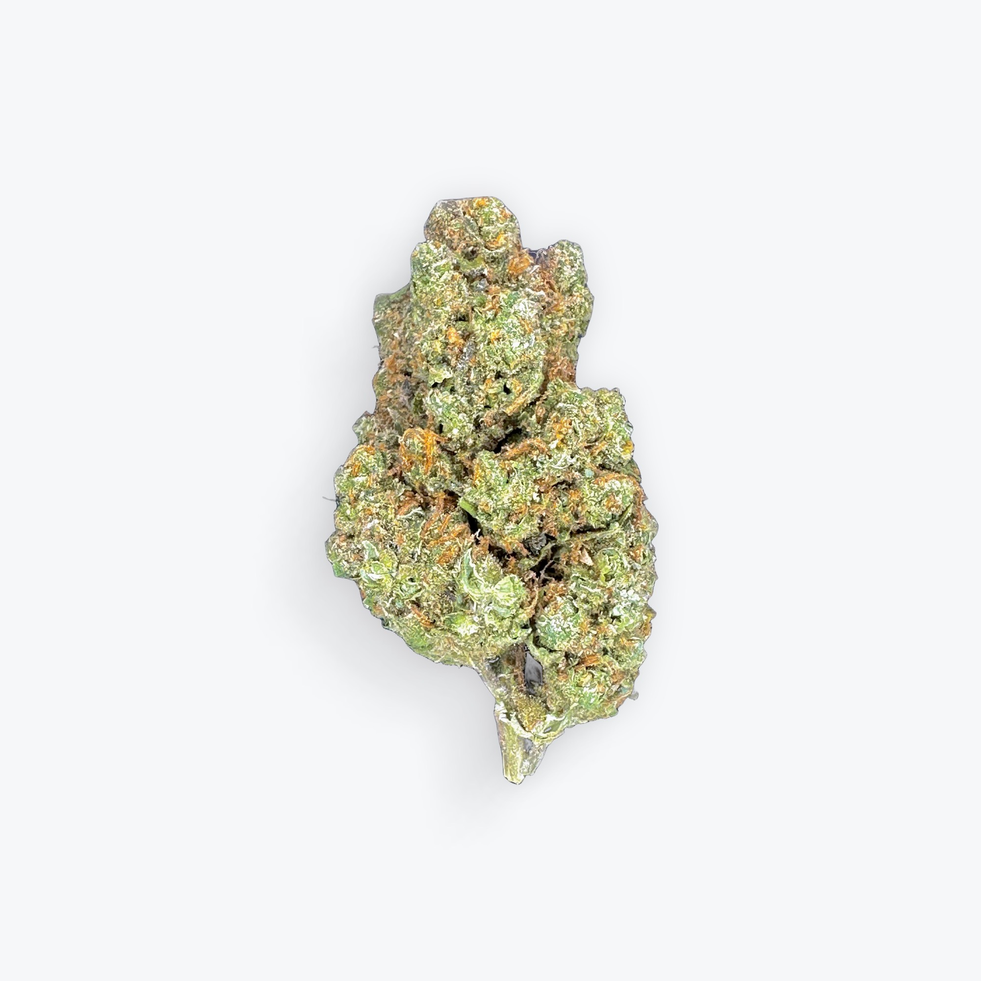 THC-A Exotic Flower - Silver Surfer (Hybrid) Guest Edition from Avaloo THC-A Exotic Flower - Silver Surfer (Hybrid) Guest Edition
