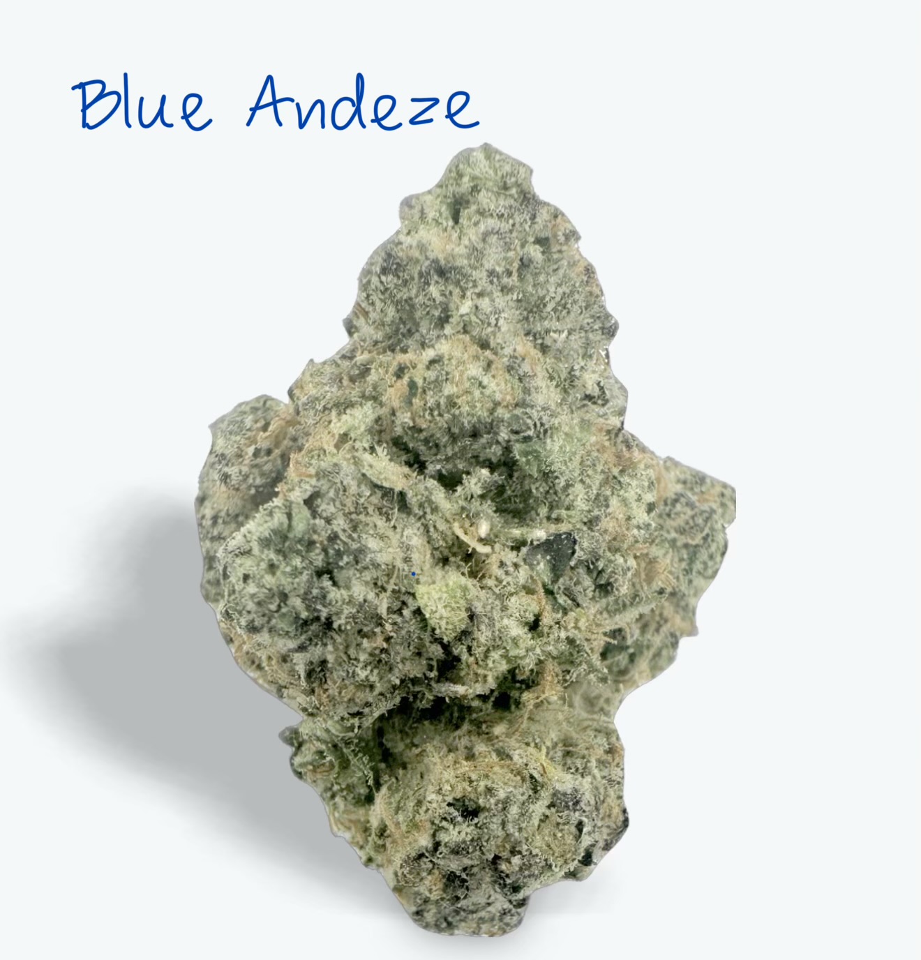 THC-A Exotic Flower - Blue Andeze (Hybrid) Guest Edition from Avaloo THC-A Exotic Flower - Blue Andeze (Hybrid) Guest Edition