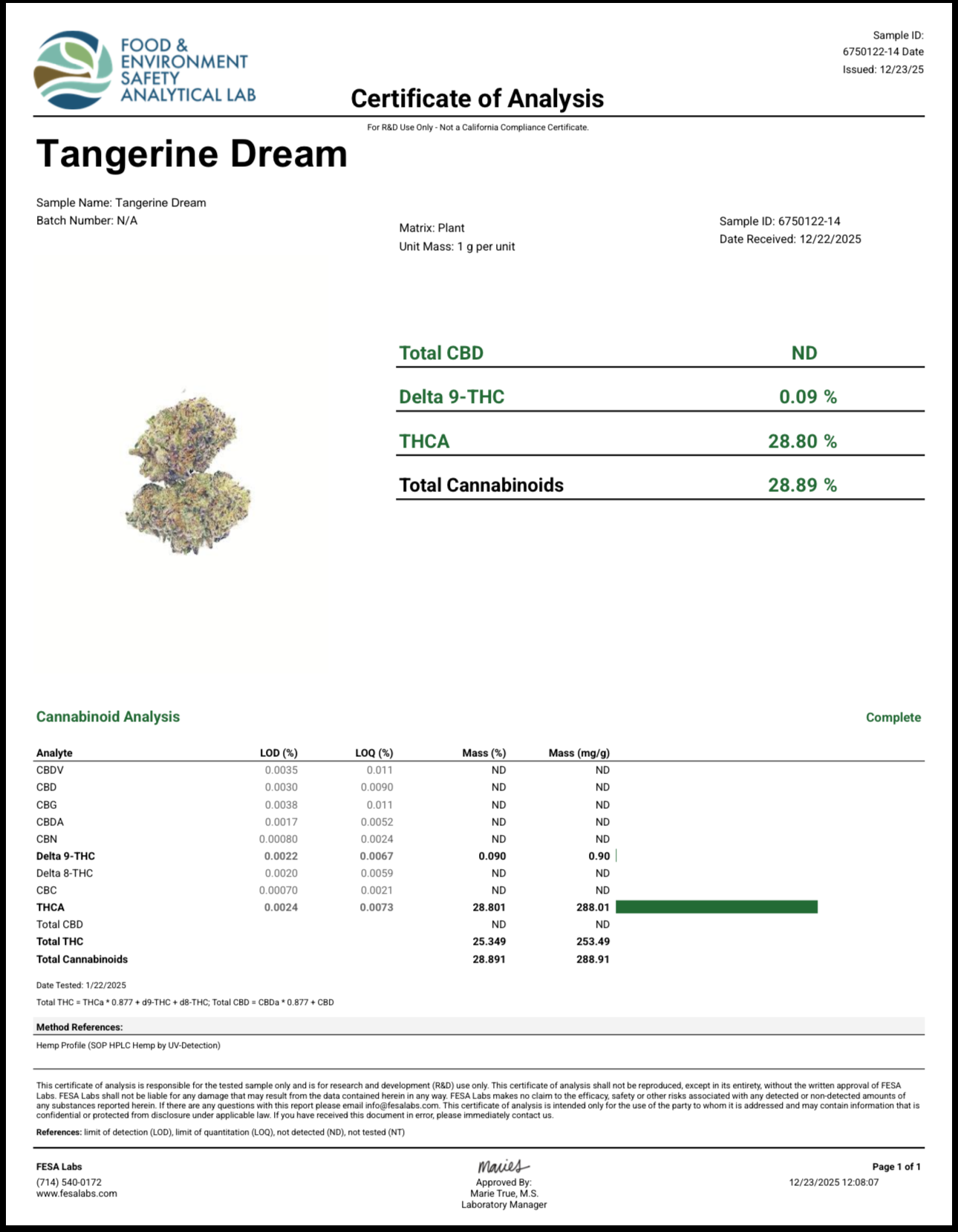 THC-A Exotic Flower - Tangerine Dream (Hybrid) Guest Edition from Avaloo THC-A Exotic Flower - Tangerine Dream (Hybrid) Guest Edition - Image 2
