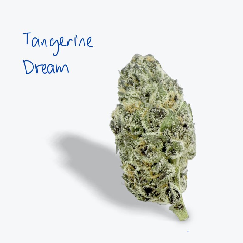 Home from Avaloo THC-A Exotic Flower - Tangerine Dream (Hybrid) Guest Edition