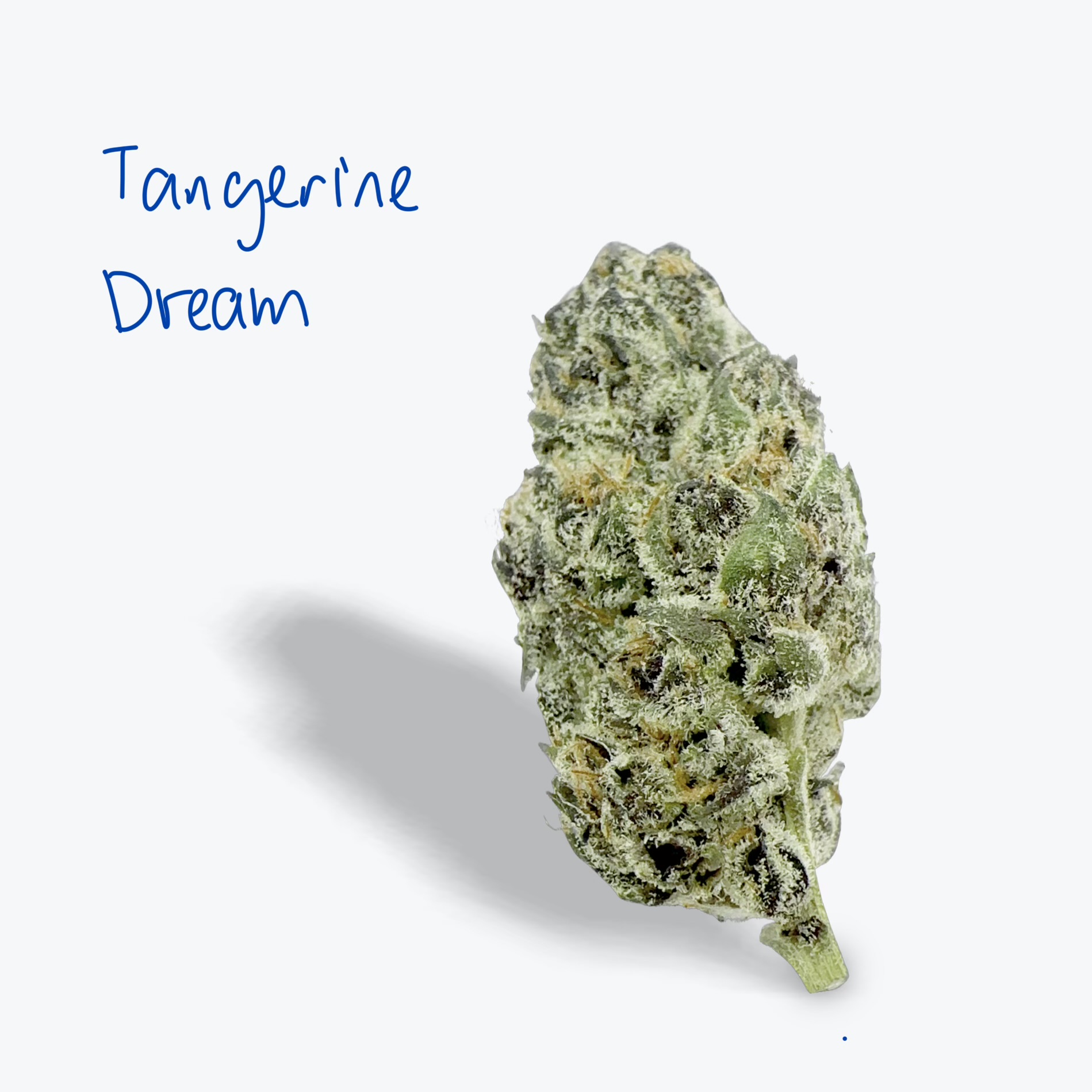 THC-A Exotic Flower - Tangerine Dream (Hybrid) Guest Edition from Avaloo THC-A Exotic Flower - Tangerine Dream (Hybrid) Guest Edition